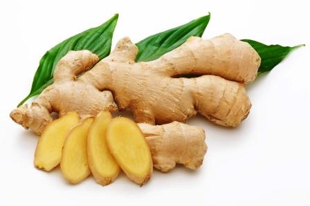 LA AMAZONÍA PERUANA CUENTA CON MÁS DE MIL PLANTAS MEDICINALES
