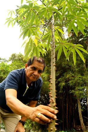 IQUITOS SERÁ SEDE DEL TERCER CONGRESO LATINOAMERICANO DE PLANTAS MEDICINALES