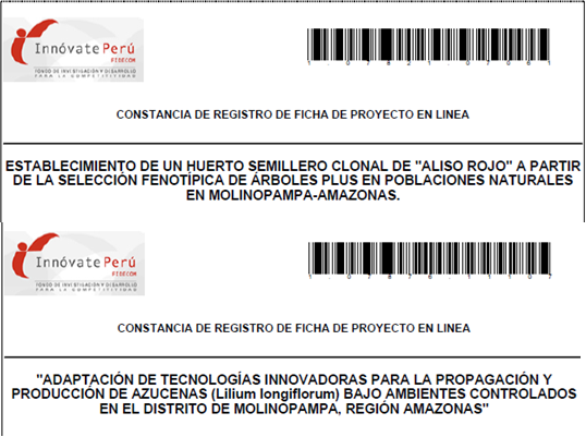 PRODUCTORES DE MOLINOPAMPA Y EL IIAP CONCURSAN EN FIDECOM