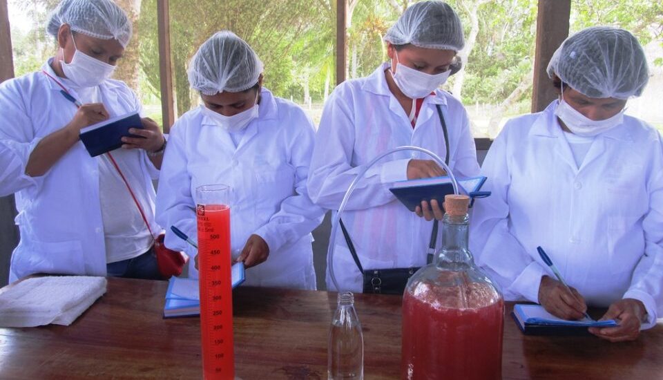 IIAP REALIZARÁ JORNADA BIOLÓGICA CON COLEGIO DE BIÓLOGOS