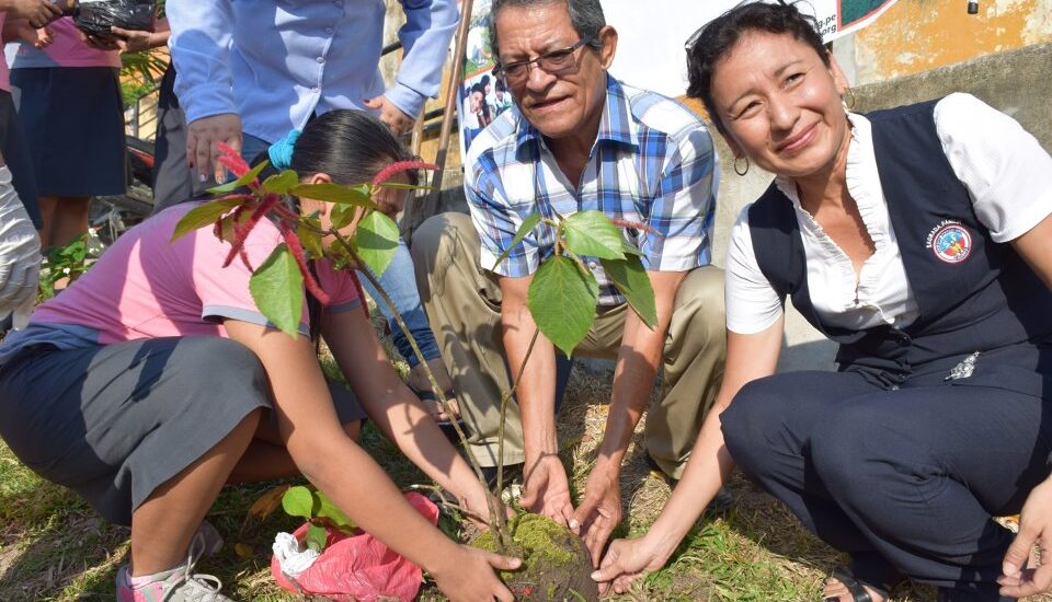 ESTUDIANTES DE LA IE SAGRADA FAMILIA PLANTARON 100 ÁRBOLES