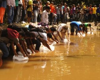SIEMBRAN 3 MIL PECES EN COLEGIO “EL MILAGRO” DE CARRETERA IQUITOS NAUTA