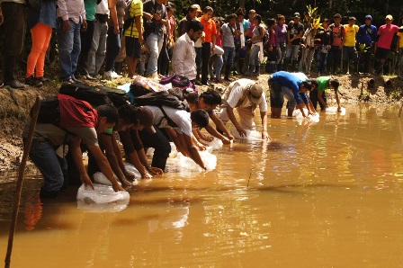 SIEMBRAN 3 MIL PECES EN COLEGIO “EL MILAGRO” DE CARRETERA IQUITOS NAUTA