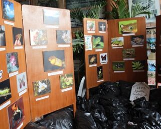 IIAP PARTICIPÓ EN “ESTAMOS EN LA CALLE” CON EXPOSICIÓN FOTOGRÁFICA