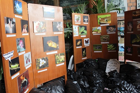 IIAP PARTICIPÓ EN “ESTAMOS EN LA CALLE” CON EXPOSICIÓN FOTOGRÁFICA