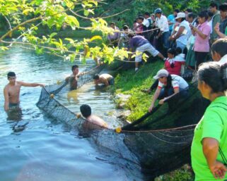 IIAP HUÁNUCO ENTREGÓ 155 MIL PECES A PRODUCTORES PISCÍCOLAS
