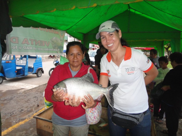 IIAP PROMUEVE VENTA DE PESCADO EN AMAZONAS, HUÁNUCO Y UCAYALI