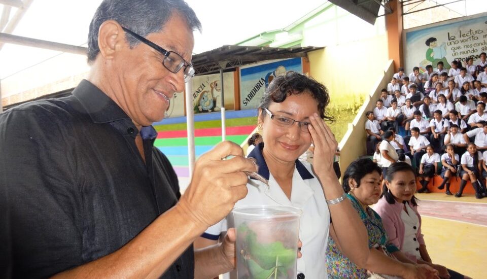IMPLEMENTAN LABORATORIO DE MARIPOSAS EN EL COLEGIO SAGRADA FAMILA