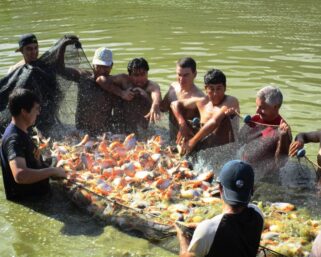 FUNCIONARIOS DEL IIAP SE REUNIERON CON CUATRO ALCALDES DE AMAZONAS