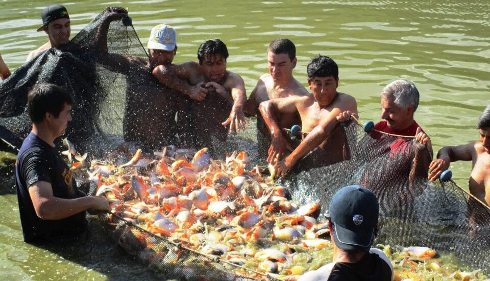 FUNCIONARIOS DEL IIAP SE REUNIERON CON CUATRO ALCALDES DE AMAZONAS