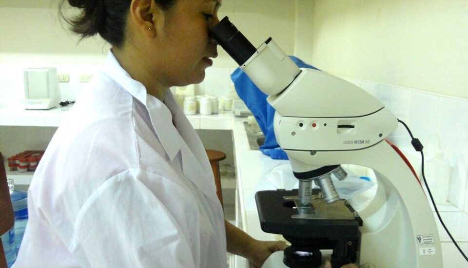 IIAP INVESTIGA EN MICROALGAS PARA ALIMENTACIÓN DE PECES