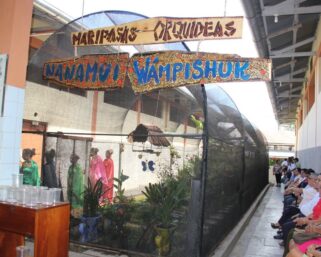 IIAP PROMUEVE CRIANZA DE MARIPOSAS EN EL COLEGIO SAGRADA FAMILIA