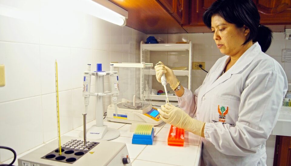 BUSCAN NUEVAS OPORTUNIDADES DE FINANCIAMIENTO PARA EL IIAP